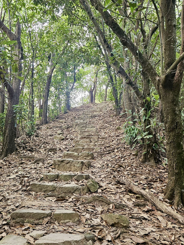 香港行山 – 蝴蝶飛舞+流水響聲 – 流水響和鶴藪水塘