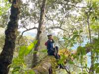 ทุ่งหญ้าสีทอง อุทยาแห่งชาติขุนแจ🏔️🍃