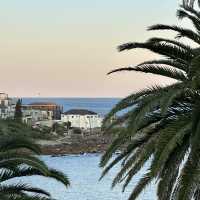 悉尼最怡人海灘COOGEE🏝️