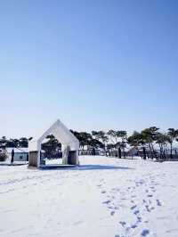 새하얗고 광활한 ❄️겨울 눈의 감성을 느낄수 있는 ☃️ 당진 겨울여행지 