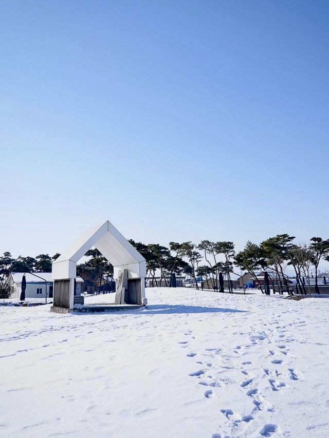 새하얗고 광활한 ❄️겨울 눈의 감성을 느낄수 있는 ☃️ 당진 겨울여행지 