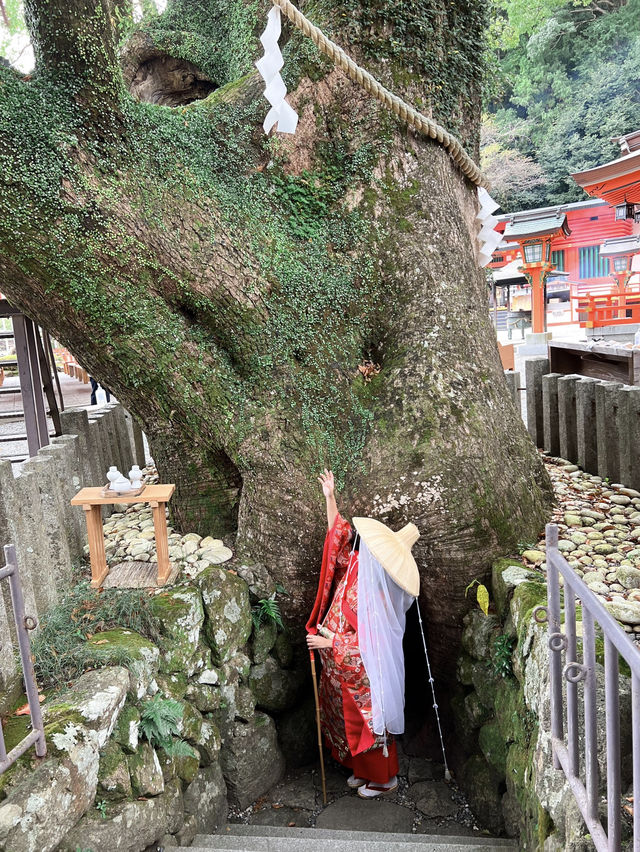 【和歌山】熊野古道で非日常体験をしよう👘