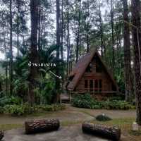 🌲ป่าสนดอยบ่อหลวง ที่พักกลางป่าสน🌲🦉