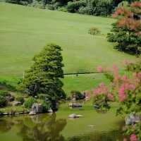 景點推薦：萬博紀念公園，放鬆又好拍的地方