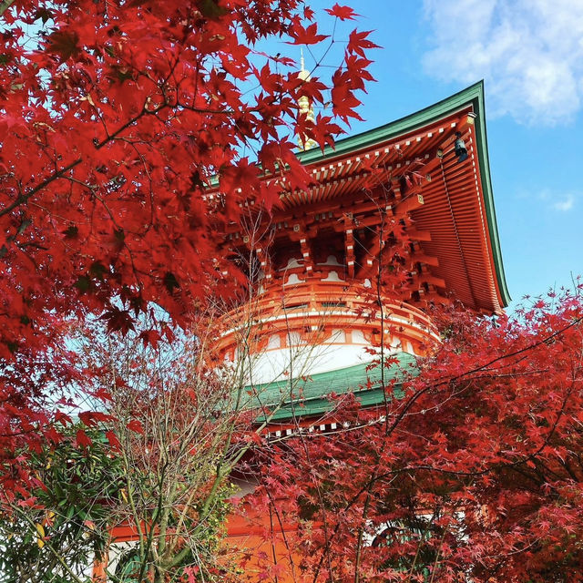 如意輪寺，紅葉呈現出夢幻美景