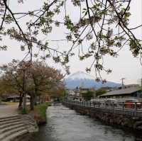 ศาลเจ้า Fujisan Hongu Sengentaisha