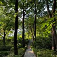 榜鵝水道公園：靜謐隱藏天地 🌿🏞️
