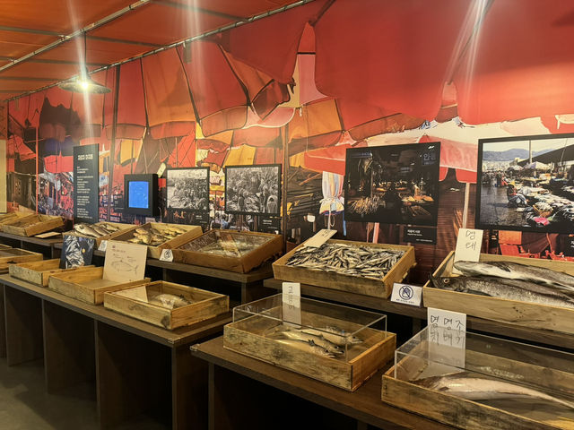 釜山　家族連れにもオススメ　無料海洋博物館