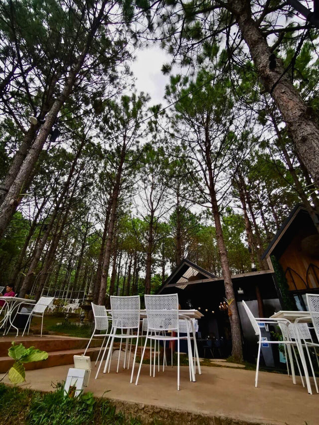 🏕️ วิลล่าป่าสน เขาค้อ