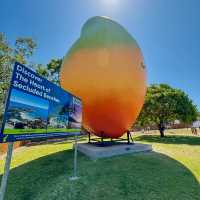 Uncover the Charms of Townsville, Queensland