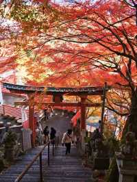 【ここ行って】お守り作り体験も⁉️パワーみなぎる天空の紅葉絶景スポット🍁