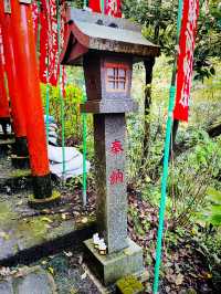 【神奈川県/鎌倉　白狐の置物がたくさん並ぶ神秘的な場所『佐助稲荷神社』】