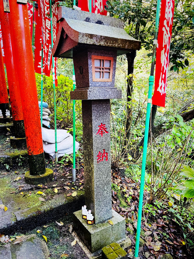 【神奈川県/鎌倉　白狐の置物がたくさん並ぶ神秘的な場所『佐助稲荷神社』】