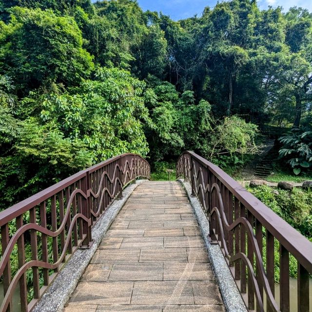 台北最佳親水步道：內湖大溝溪生態治水園區