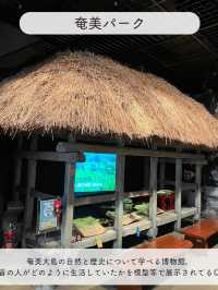 【奄美大島】鹿児島県の島を楽しむ、おすすめSPOT7選
