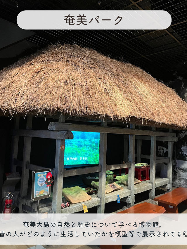 【奄美大島】鹿児島県の島を楽しむ、おすすめSPOT7選
