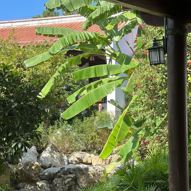 磨碟沙公園：中式園林之美 🌿🏮