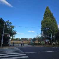 Ueno Park2024