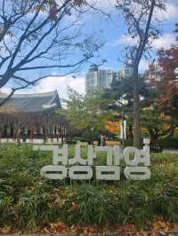 여유로움이 느껴지는 대구 히든 플레이스 경상감영공원🌿