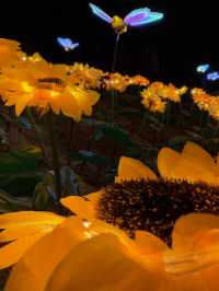 Light in the Garden แสงในสวนสวยครั้งแรกจันทบุรี