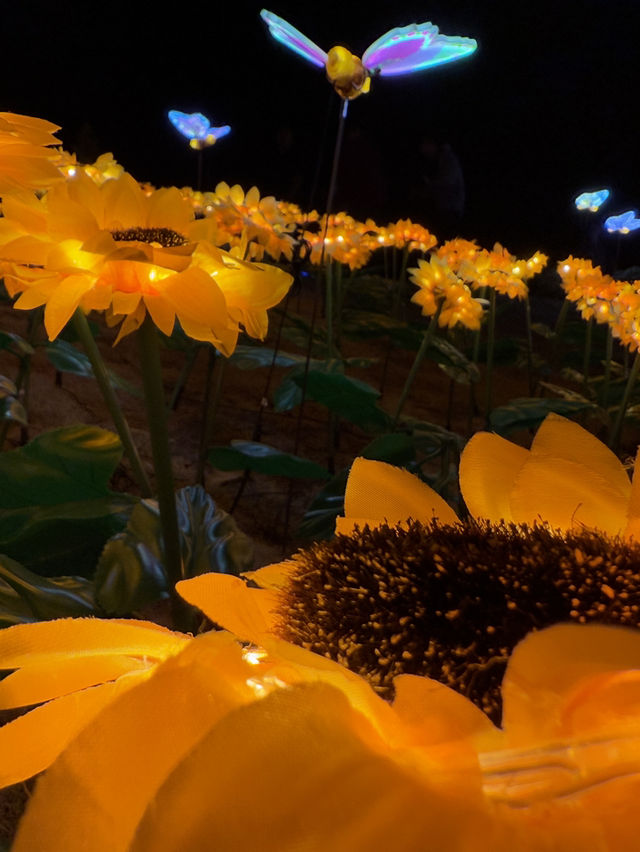 Light in the Garden แสงในสวนสวยครั้งแรกจันทบุรี