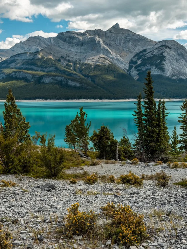  Abraham Lake is a just a perfect destination 😻