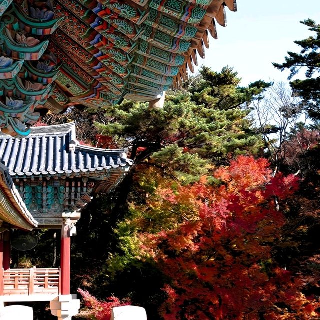 韓國大邱_Bulguksa 불국사 佛國寺_韓國國寶502號