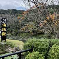 Beppu Hot Springs Hells Tour
