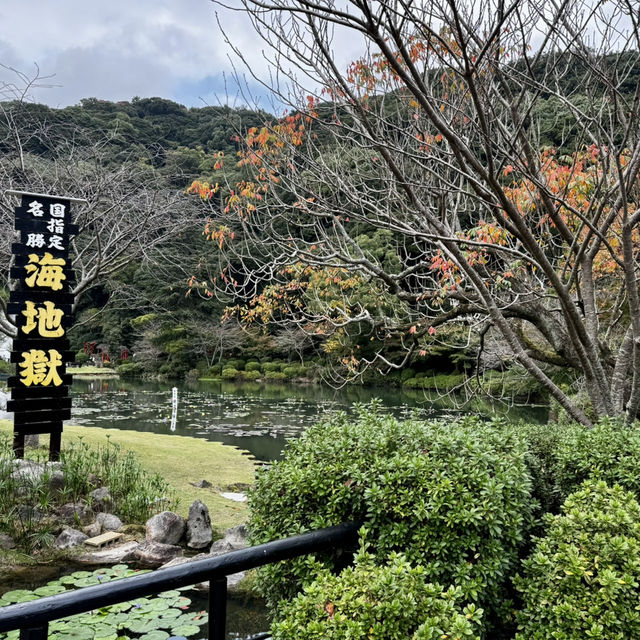 Beppu Hot Springs Hells Tour