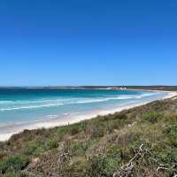 Kangaroo Island (South Australia)🇦🇺 