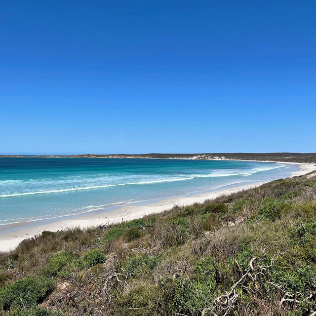Kangaroo Island (South Australia)🇦🇺 