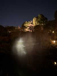 A sea of clouds in Japanese garden
