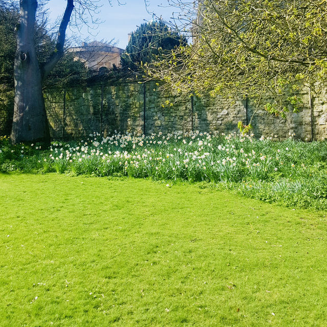 Relax and Explore: A Day at Oxford University Parks