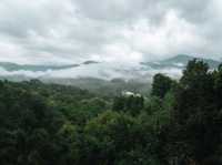 The valley of love