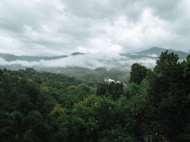 The valley of love