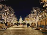 A Christmas illumination at Yebisu Garden