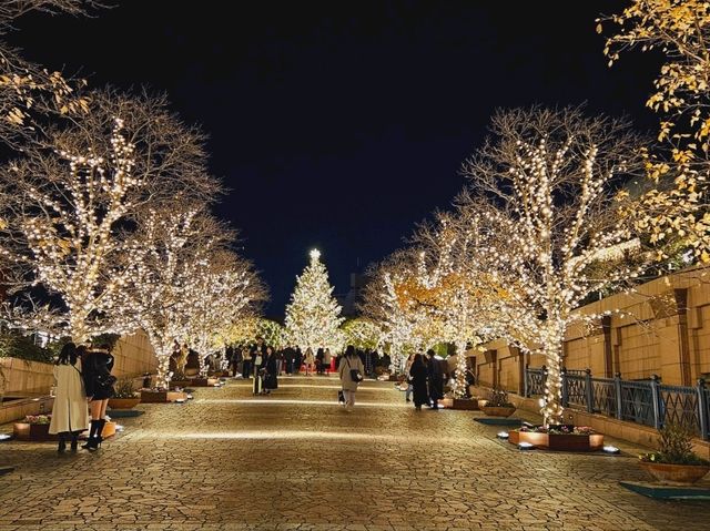 A Christmas illumination at Yebisu Garden