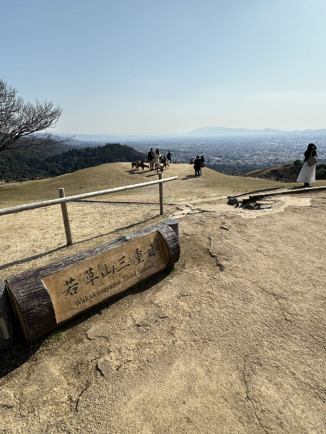 登奈良若草山山頂 ⛰️與小鹿齊賞奈良全景🦌