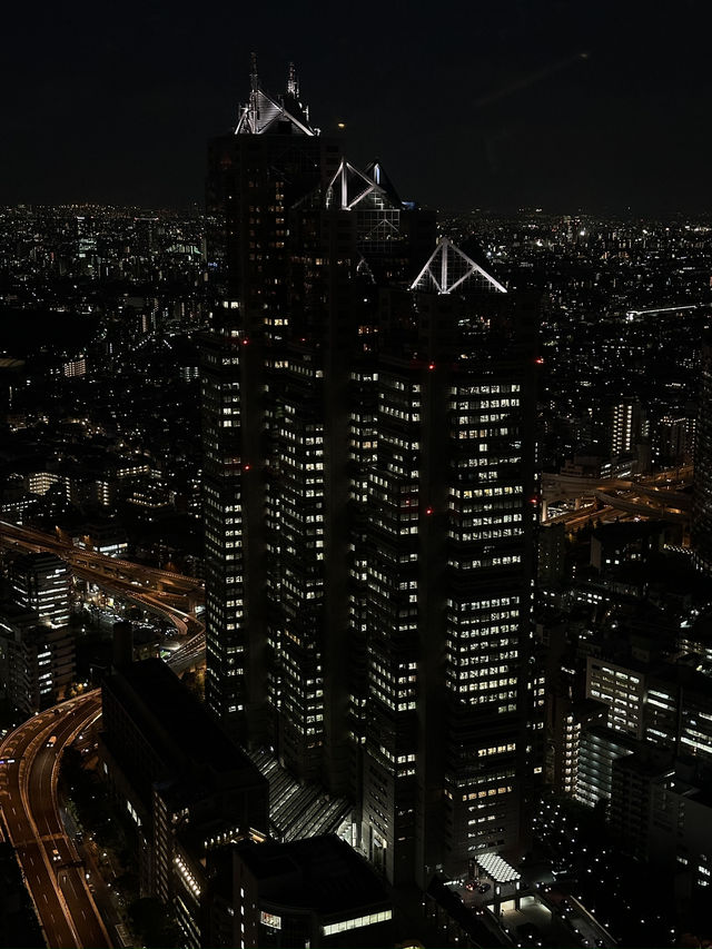 Sky-High Views at Tokyo Metropolitan Government Building Observatory