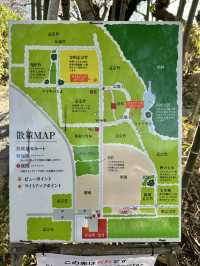【若竹の杜　若山農場】