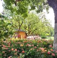 One Day @ Kunming