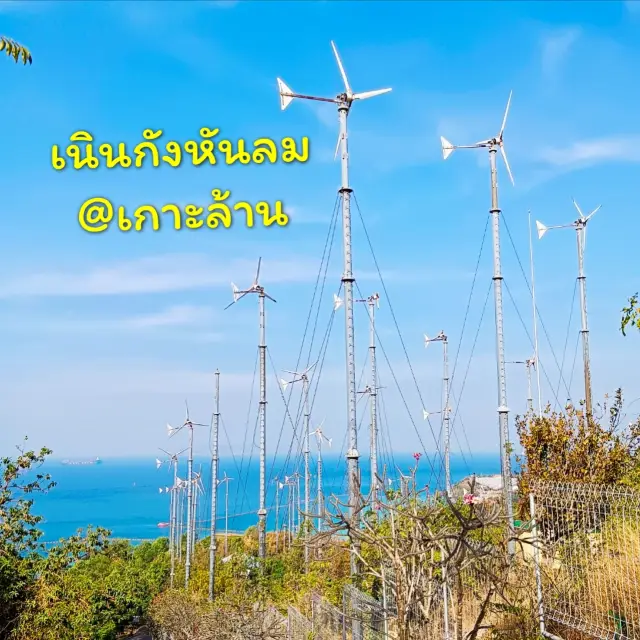 觀景台 風車山丘