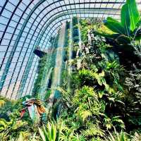 Gardens by the Bay，被譽為新加坡最優美的城市園林傑作