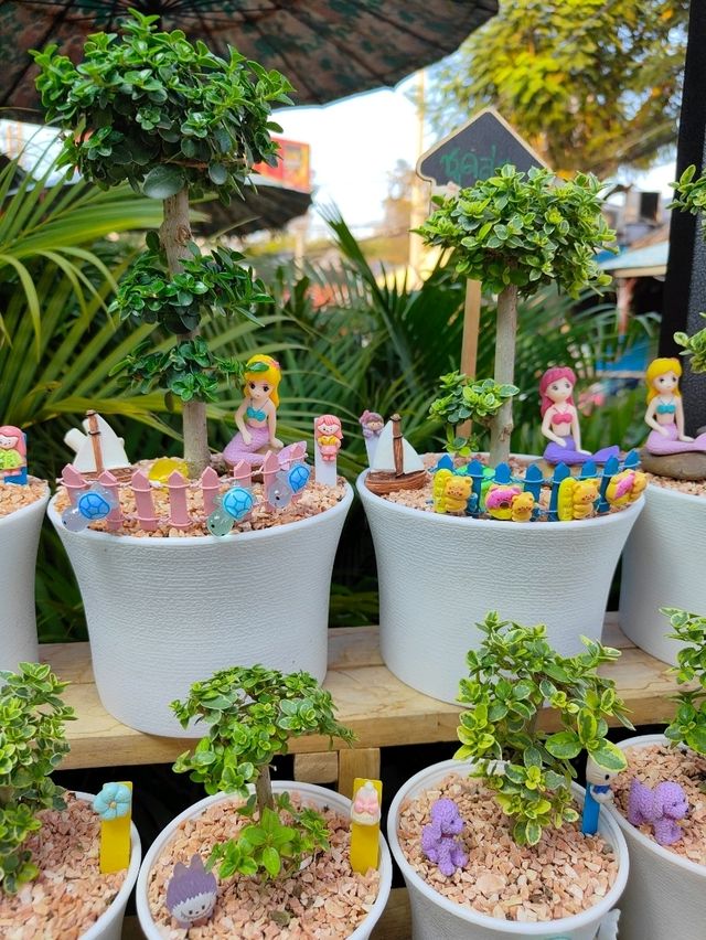 ตลาดต้นไม้จตุจักร 2025🍀