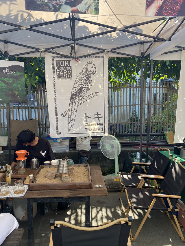 Chiang Mai Coffee Week 2025 ☕️