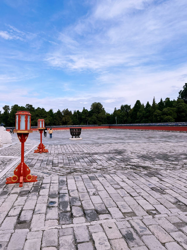 The Temple of Heaven Park in fall🍁
