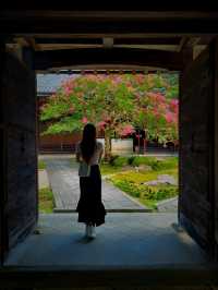 【百日紅咲く青岸寺】