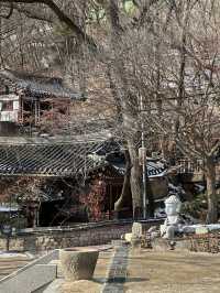 성북동 북악산자락의 🏔️자연과 힐링할 수 있는 서울 사찰투어 여행지 ✨