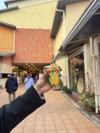 เดินเล่นชิลๆ ที่ MOSAIC Kobe & Kobe Port 🏙️🌊