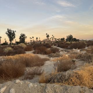 Joshua Tree Airbnb, cozy and full of activities, one night is not enough.